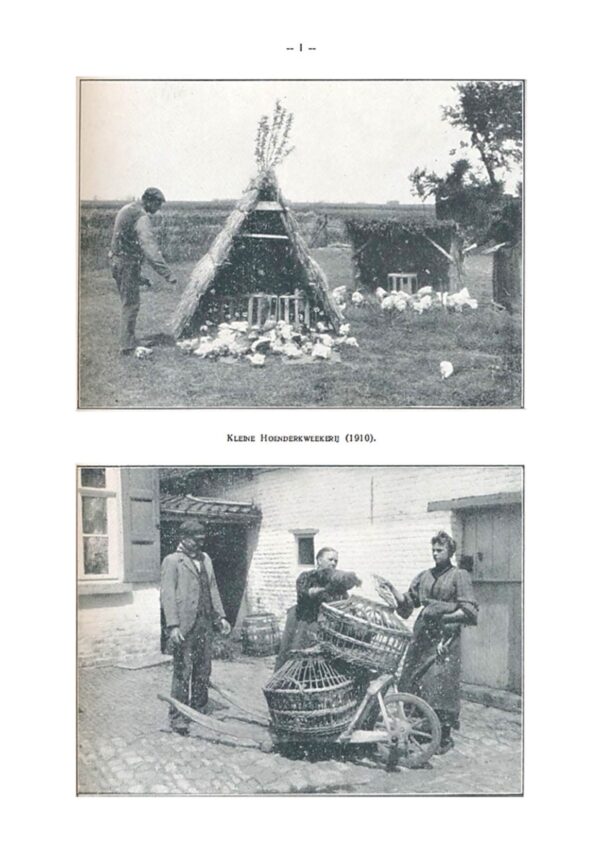 1929 | 01-02 - ES&DB - Afbeelding 3