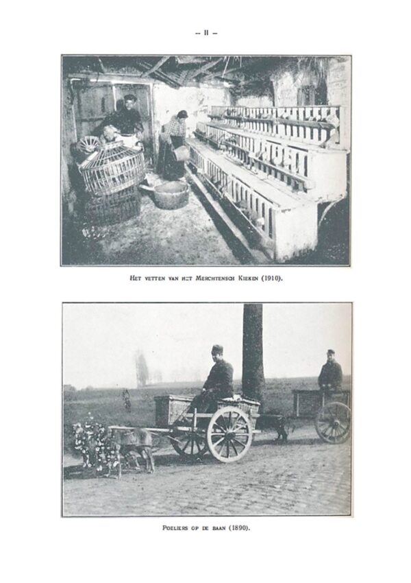 1929 | 01-02 - ES&DB - Afbeelding 4